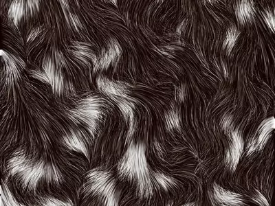 动物毛发纹理贴图