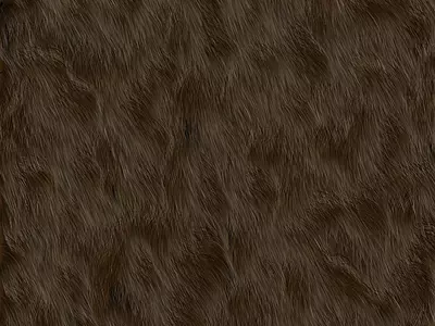 棕褐色动物毛发纹理贴图
