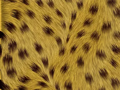 豹纹毛发纹理特写贴图