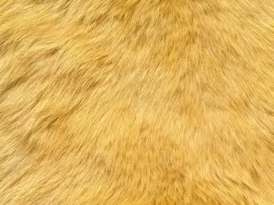 浅棕色动物毛发纹理特效贴图