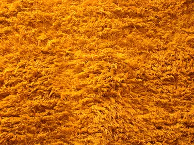 橙黄色毛绒纹理贴图