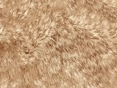 棕白色毛绒纹理贴图