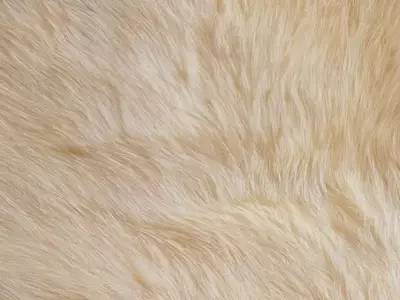 米白棕相间毛绒纹理贴图