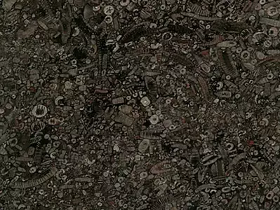 贝壳化石石材贴图