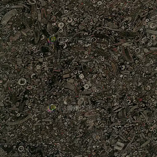 贝壳化石石材贴图