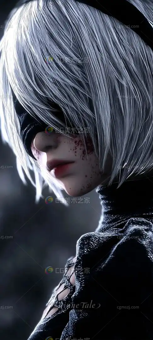 黑暗中的银白倩影-尼尔机械纪元 (14)