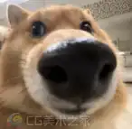 Snipaste_2025-10-24_10-36-12