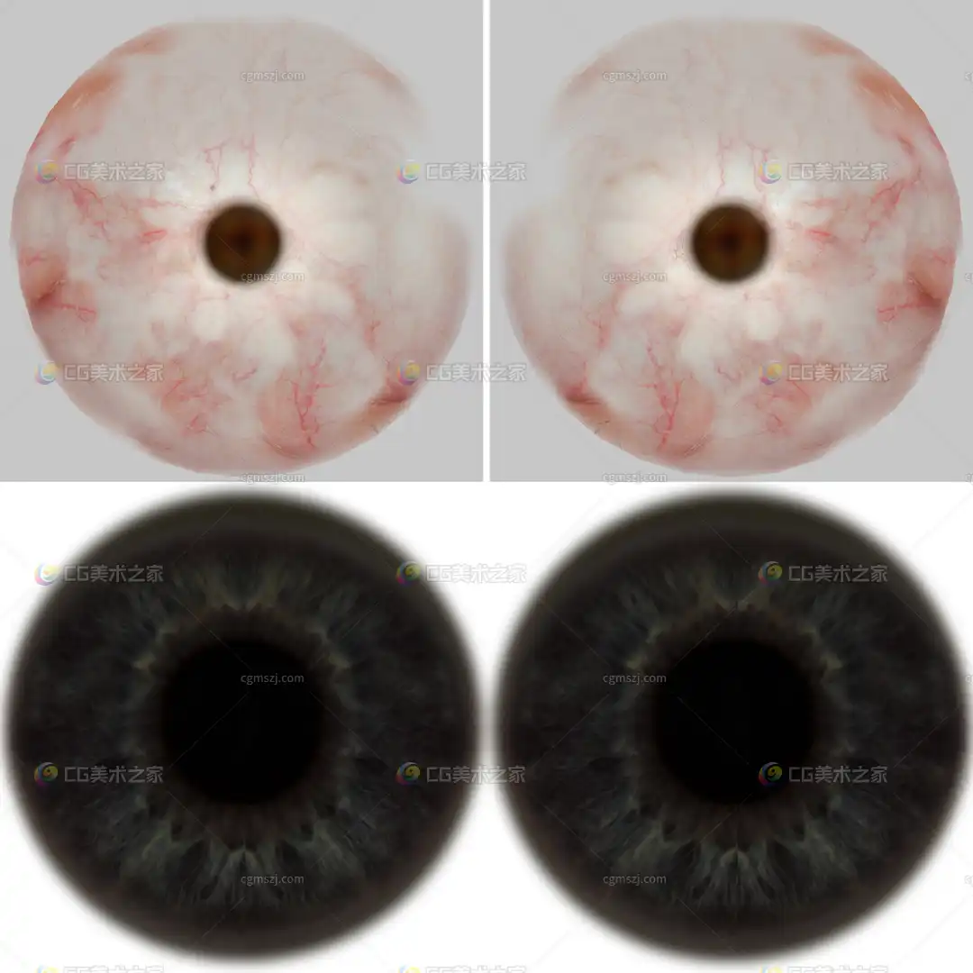眼球贴图
